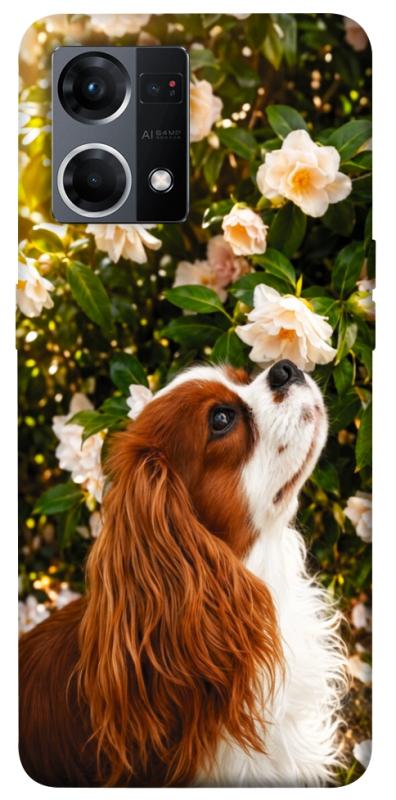 Чехол itsPrint Flower spaniel для Oppo Reno 7 4G, песики, купить оптом с доставкой