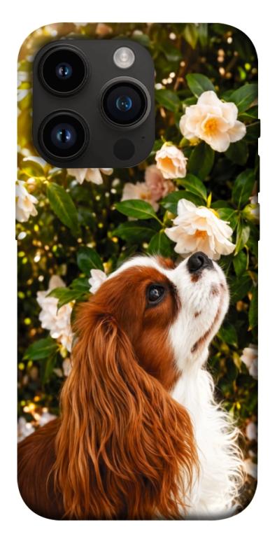 Чохол itsPrint Flower spaniel для Apple iPhone 14 Pro (6.1"), песики, купити оптом з доставкою