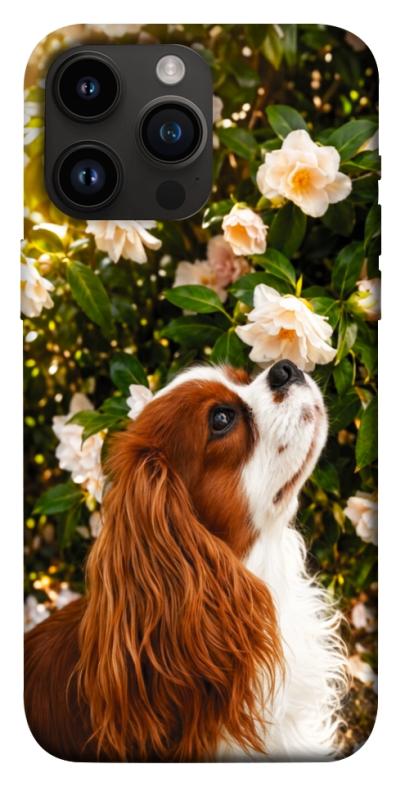 Чохол itsPrint Flower spaniel для Apple iPhone 14 Pro Max (6.7"), песики, купити оптом з доставкою