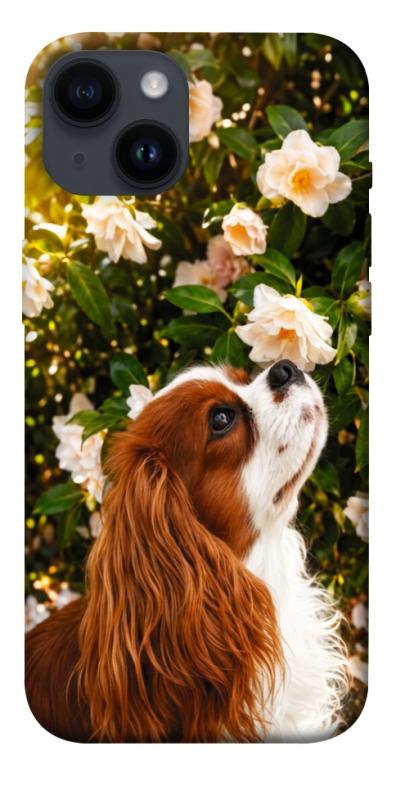 Чохол itsPrint Flower spaniel для Apple iPhone 14 (6.1"), песики, купити оптом з доставкою