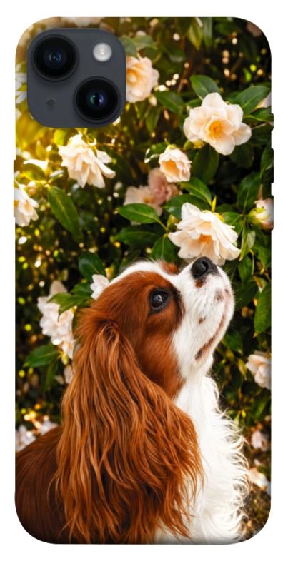 Чохол itsPrint Flower spaniel для Apple iPhone 14 Plus (6.7"), песики, купити оптом з доставкою