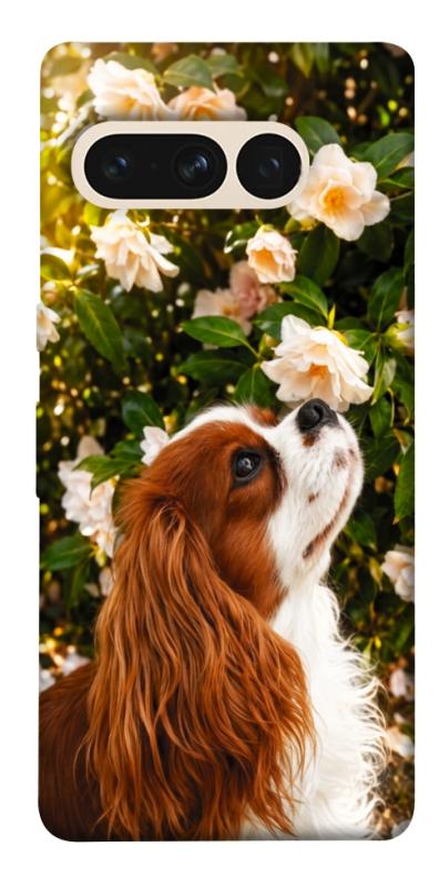 Чохол itsPrint Flower spaniel для Google Pixel 7 Pro, песики, купити оптом з доставкою