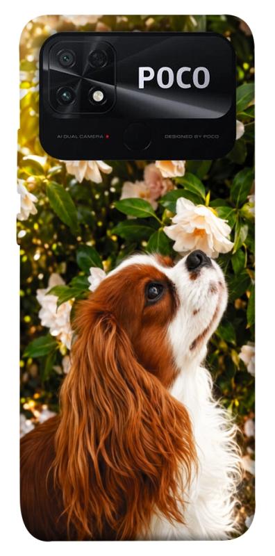 Чохол itsPrint Flower spaniel для Xiaomi Poco C40, песики, купити оптом з доставкою