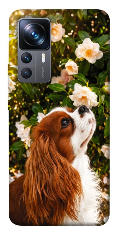 Чохол itsPrint Flower spaniel для Xiaomi 12T / 12T Pro, песики, купити оптом з доставкою