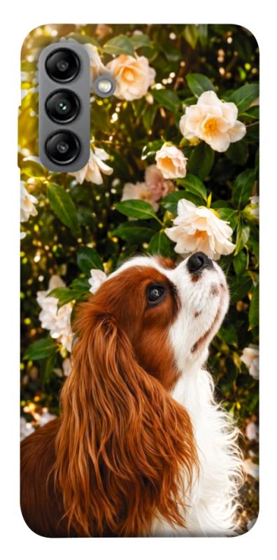 Чохол itsPrint Flower spaniel для Samsung Galaxy A04s, песики, купити оптом з доставкою