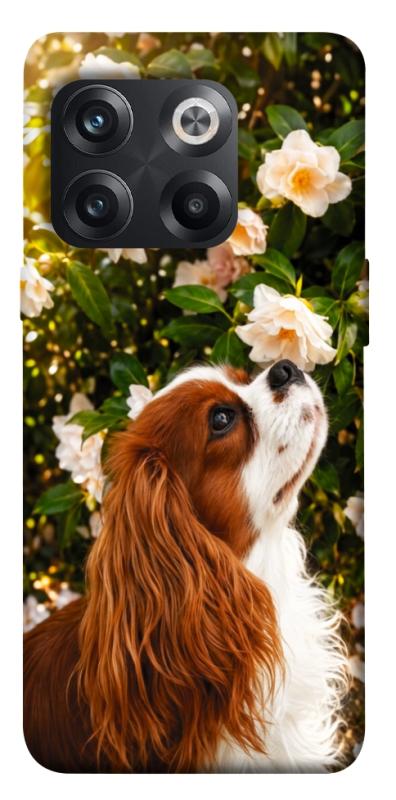 Чехол itsPrint Flower spaniel для OnePlus 10T, песики, купить оптом с доставкой