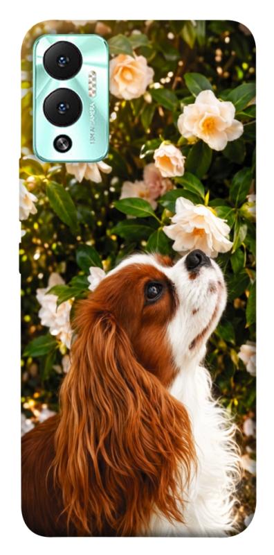 Чехол itsPrint Flower spaniel для Infinix Hot 12 Play, песики, купить оптом с доставкой