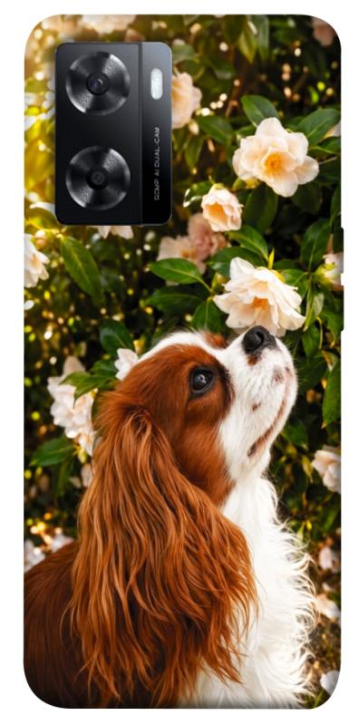 Чохол itsPrint Flower spaniel для Oppo A57s, песики, купити оптом з доставкою