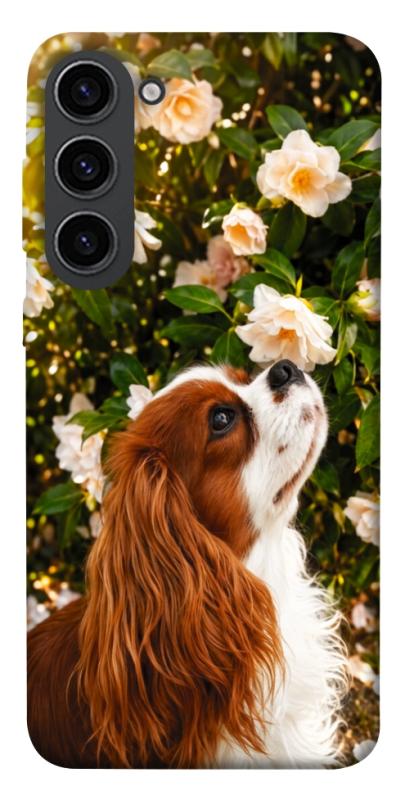Чохол itsPrint Flower spaniel для Samsung Galaxy S23, песики, купити оптом з доставкою