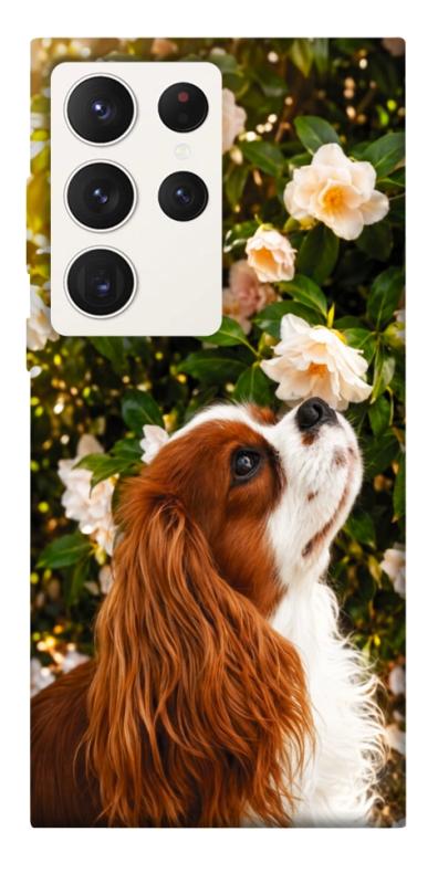 Чохол itsPrint Flower spaniel для Samsung Galaxy S23 Ultra, песики, купити оптом з доставкою