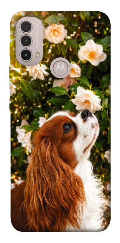 Чохол itsPrint Flower spaniel для Motorola Moto E40, песики, купити оптом з доставкою