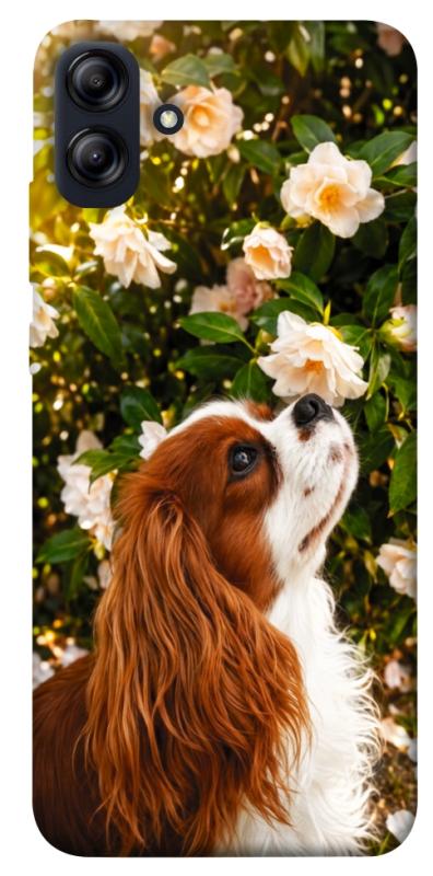 Чохол itsPrint Flower spaniel для Samsung Galaxy A04e, песики, купити оптом з доставкою