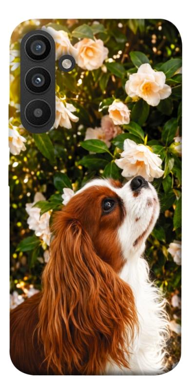 Чохол itsPrint Flower spaniel для Samsung Galaxy A34 5G, песики, купити оптом з доставкою