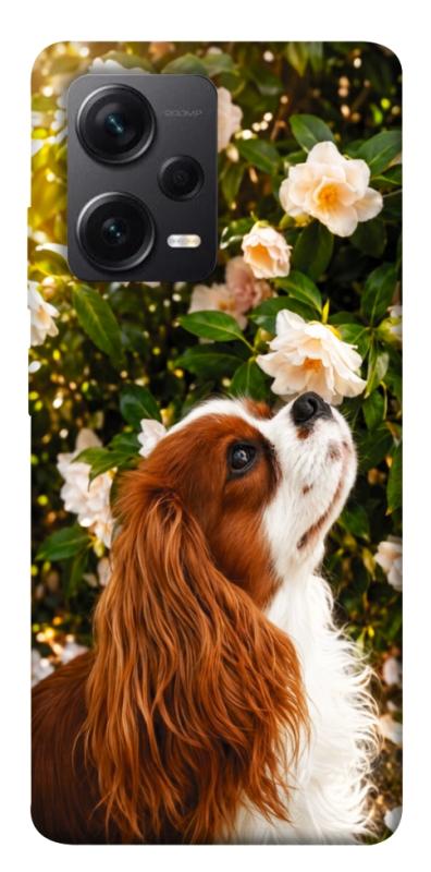 Чохол itsPrint Flower spaniel для Xiaomi Redmi Note 12 Pro+ 5G, песики, купити оптом з доставкою