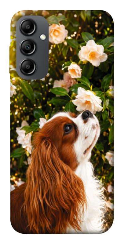 Чохол itsPrint Flower spaniel для Samsung Galaxy A14 4G/5G, песики, купити оптом з доставкою