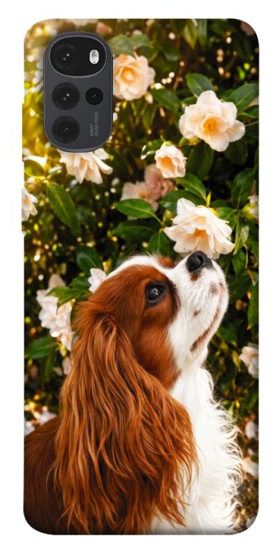 Чехол itsPrint Flower spaniel для Motorola Moto G22, песики, купить оптом с доставкой