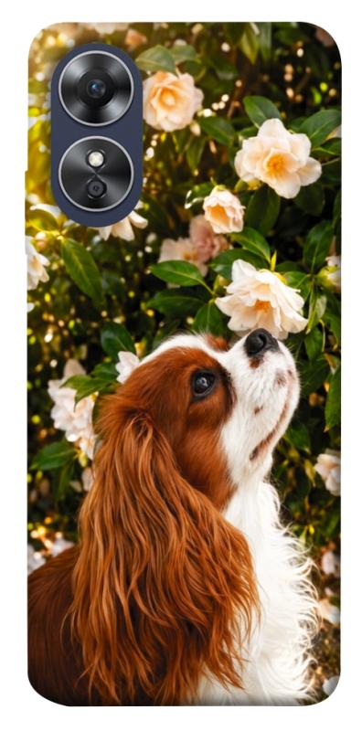Чохол itsPrint Flower spaniel для Oppo A17, песики, купити оптом з доставкою