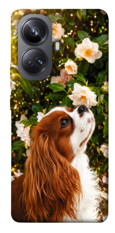 Чохол itsPrint Flower spaniel для Realme 10 Pro+, песики, купити оптом з доставкою