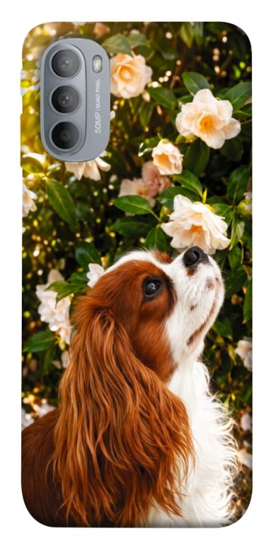 Чохол itsPrint Flower spaniel для Motorola Moto G31, песики, купити оптом з доставкою