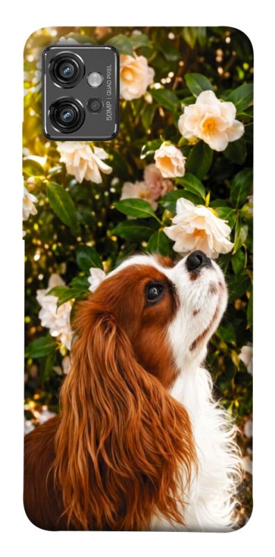 Чохол itsPrint Flower spaniel для Motorola Moto G32, песики, купити оптом з доставкою