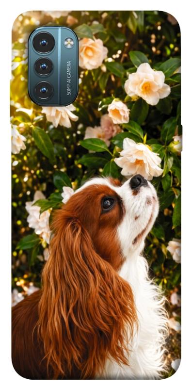 Чохол itsPrint Flower spaniel для Nokia G21, песики, купити оптом з доставкою