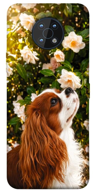 Чохол itsPrint Flower spaniel для Nokia G50, песики, купити оптом з доставкою