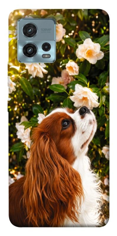 Чехол itsPrint Flower spaniel для Motorola Moto G72, песики, купить оптом с доставкой