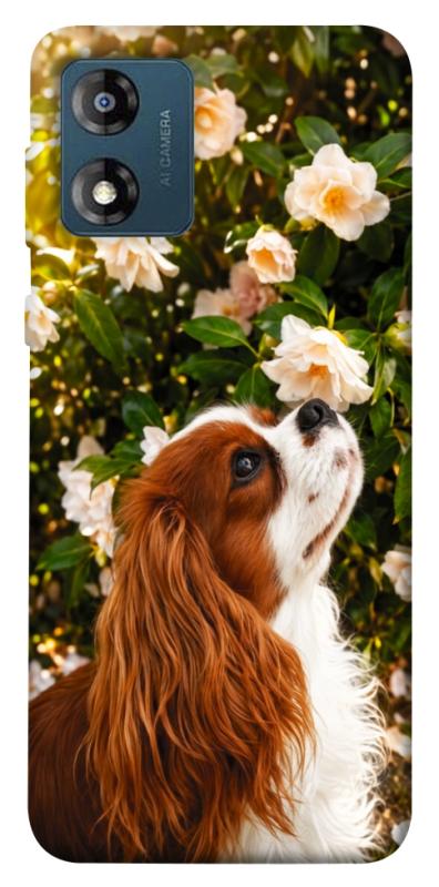 Чохол itsPrint Flower spaniel для Motorola Moto E13, песики, купити оптом з доставкою