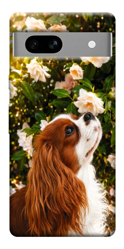 Чехол itsPrint Flower spaniel для Google Pixel 7a, песики, купить оптом с доставкой