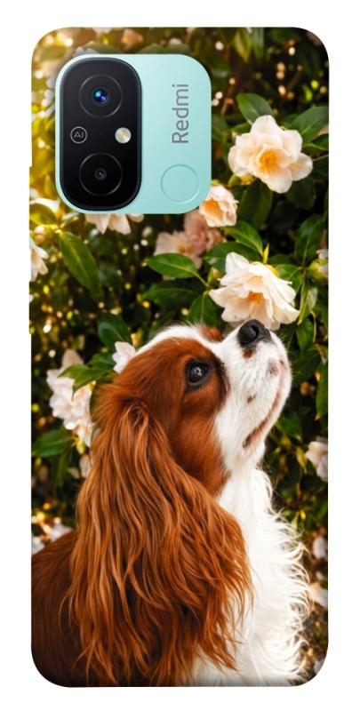 Чохол itsPrint Flower spaniel для Xiaomi Redmi 12C, песики, купити оптом з доставкою