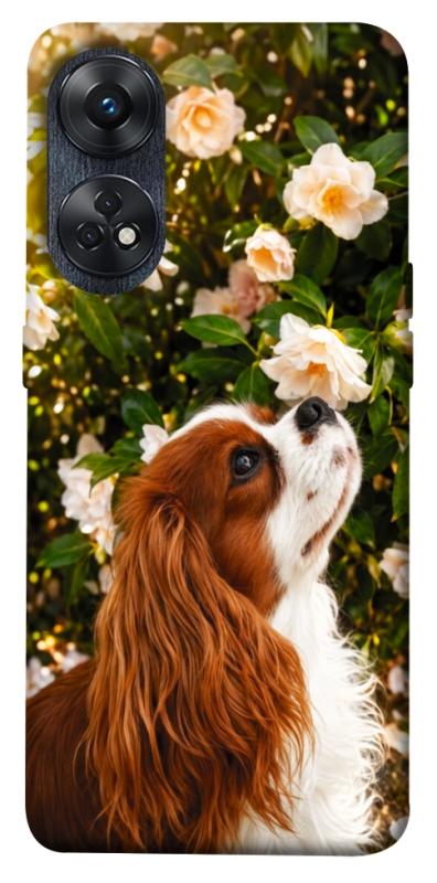 Чехол itsPrint Flower spaniel для Oppo Reno 8 T 4G, песики, купить оптом с доставкой