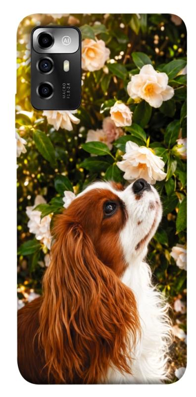 Чохол itsPrint Flower spaniel для ZTE Blade A72, песики, купити оптом з доставкою