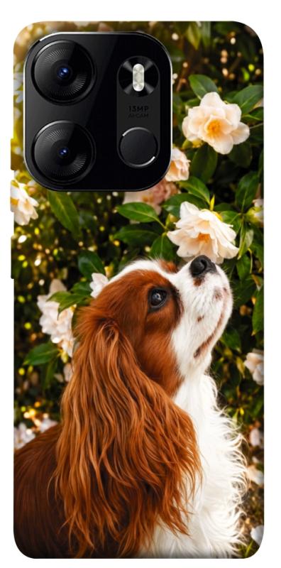 Чохол itsPrint Flower spaniel для Tecno Spark Go 2023, песики, купити оптом з доставкою