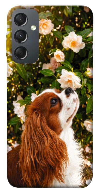 Чохол itsPrint Flower spaniel для Samsung Galaxy A24 4G, песики, купити оптом з доставкою
