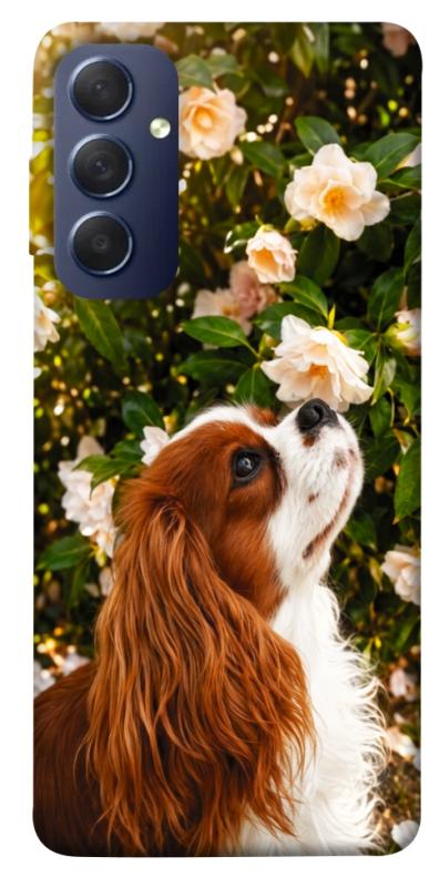 Чехол itsPrint Flower spaniel для Samsung Galaxy M54 5G, песики, купить оптом с доставкой