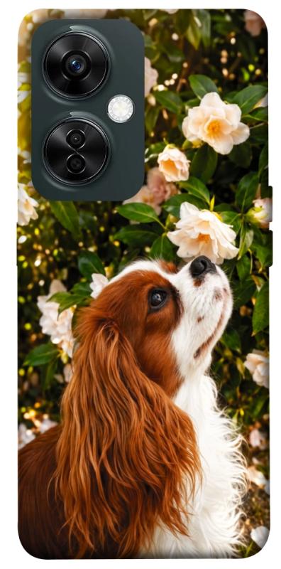 Чохол itsPrint Flower spaniel для OnePlus Nord CE 3 Lite, песики, купити оптом з доставкою