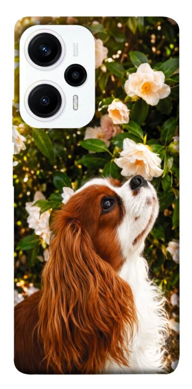 Чохол itsPrint Flower spaniel для Xiaomi Poco F5 / Note 12 Turbo, песики, купити оптом з доставкою