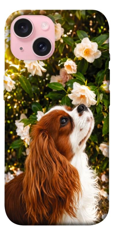 Чохол itsPrint Flower spaniel для Apple iPhone 15 (6.1"), песики, купити оптом з доставкою