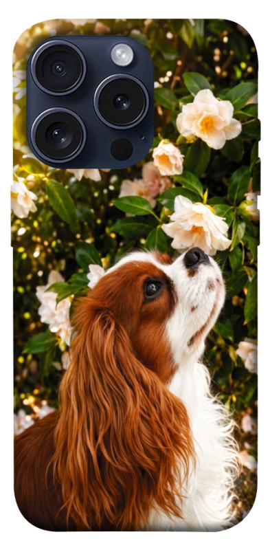 Чохол itsPrint Flower spaniel для Apple iPhone 15 Pro (6.1"), песики, купити оптом з доставкою