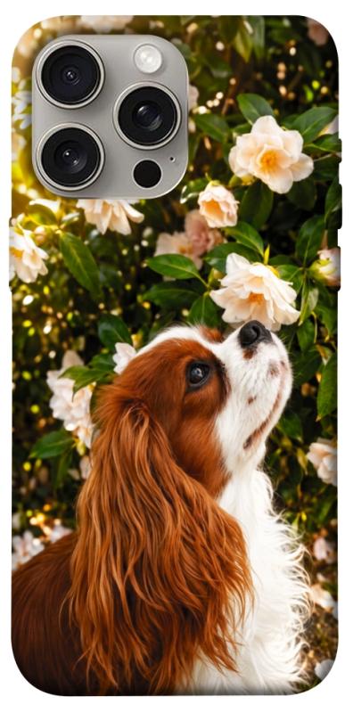 Чохол itsPrint Flower spaniel для Apple iPhone 15 Pro Max (6.7"), песики, купити оптом з доставкою