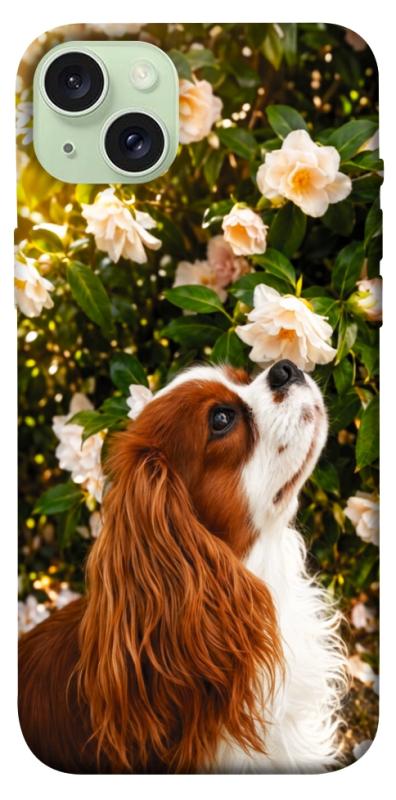 Чохол itsPrint Flower spaniel для Apple iPhone 15 Plus (6.7"), песики, купити оптом з доставкою