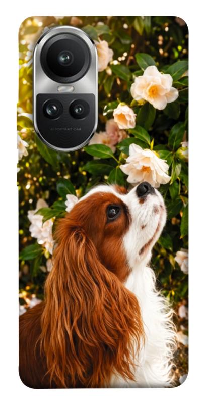 Чохол itsPrint Flower spaniel для Oppo Reno 10, песики, купити оптом з доставкою