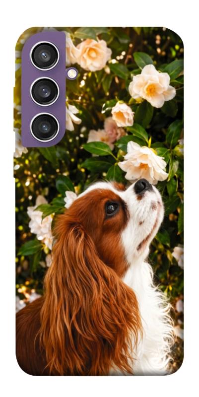 Чохол itsPrint Flower spaniel для Samsung Galaxy S23 FE, песики, купити оптом з доставкою