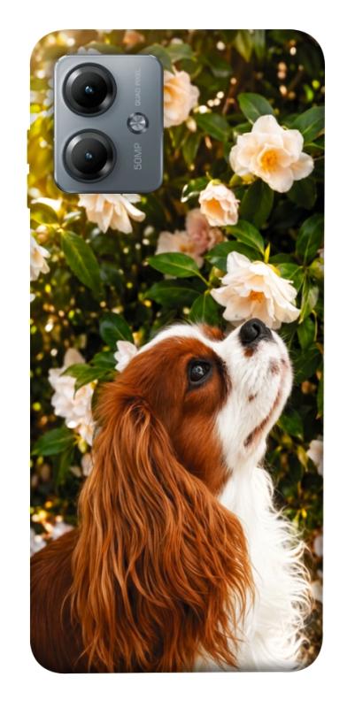 Чохол itsPrint Flower spaniel для Motorola Moto G14, песики, купити оптом з доставкою