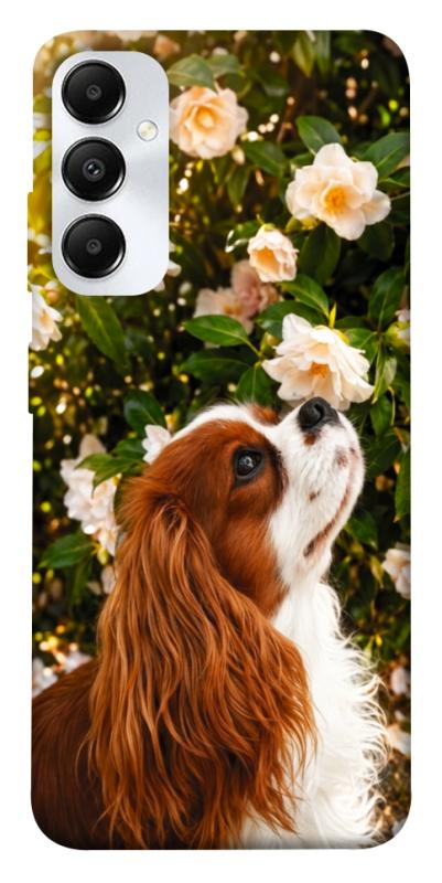 Чехол itsPrint Flower spaniel для Samsung Galaxy A05s, песики, купить оптом с доставкой