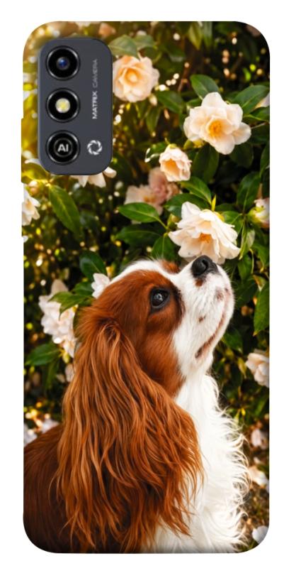 Чохол itsPrint Flower spaniel для ZTE Blade A53, песики, купити оптом з доставкою