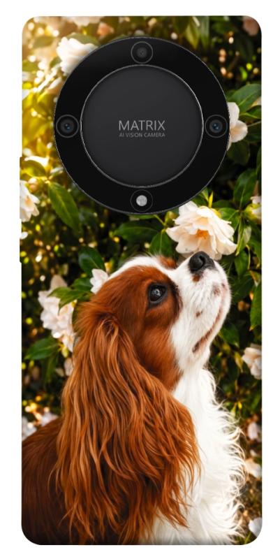 Чохол itsPrint Flower spaniel для Huawei Magic5 Lite, песики, купити оптом з доставкою