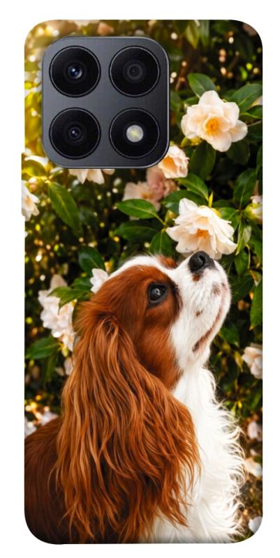 Чохол itsPrint Flower spaniel для Huawei Honor X8a, песики, купити оптом з доставкою