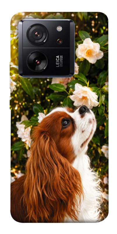 Чохол itsPrint Flower spaniel для Xiaomi 13T, песики, купити оптом з доставкою