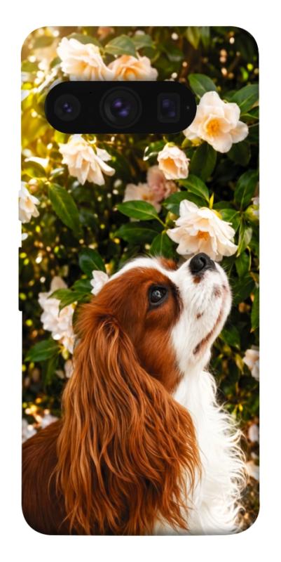 Чохол itsPrint Flower spaniel для Google Pixel 8 Pro, песики, купити оптом з доставкою